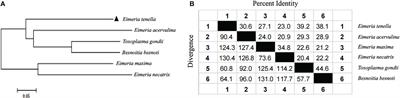 A rhoptry protein, localizing in the bulb region of rhoptries, could induce protective immunity against Eimeria tenella infection